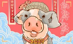 惠州赛德油墨2019年春节放假通知！